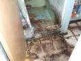 Club House floor mold photo.021.jpg
