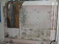 mold on wall behind mirror.jpg