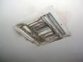 mold on supply vent.jpg