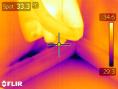 infrared photo wet area.jpg